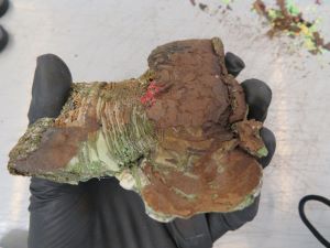 A gloved hand holding a melted brown pile of $100 green banknotes.