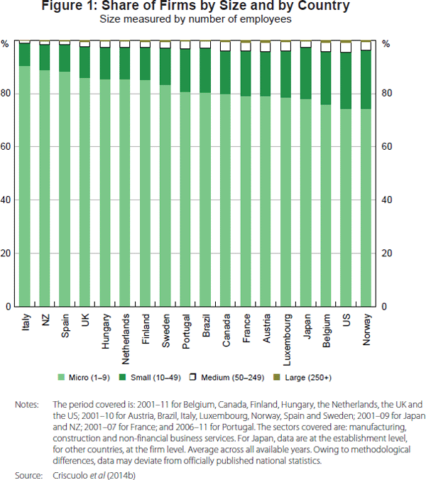 Figure 1: Share of Firms by Size and by Country