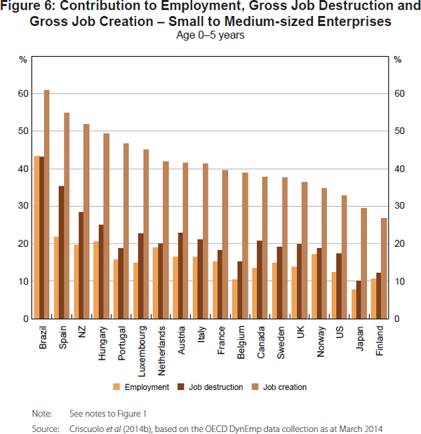 Figure 6: Contribution to Employment, Gross Job Destruction and Gross Job Creation – Small to Medium-sized Enterprises