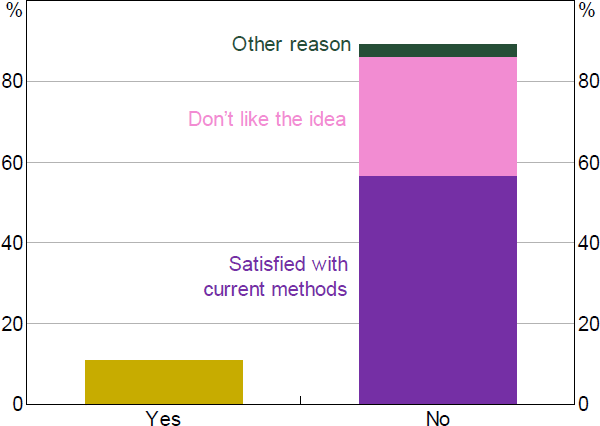 Figure 11: Would You Make Mobile Payments?