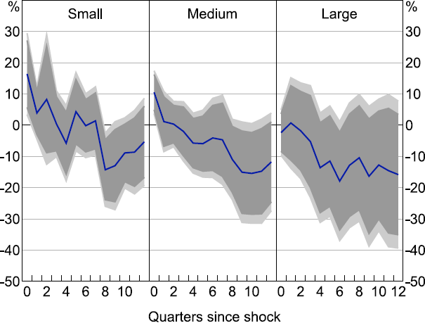 Figure 3: Investment Response to 100 Basis Point Monetary Policy Shock