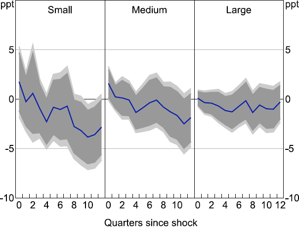 Figure 4: Investment Response to 100 Basis Point Monetary Policy Shock