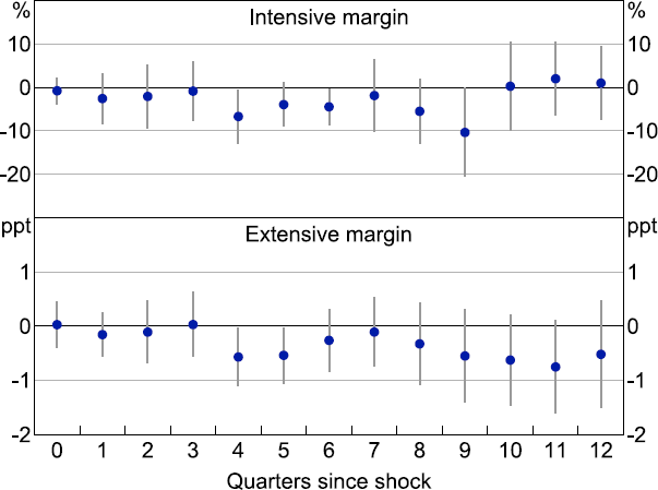 Figure C3: Investment Response to 100 Basis Point Monetary Policy Shock