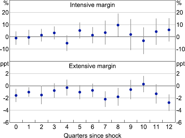 Figure C4: Investment Response to 100 Basis Point Monetary Policy Shock