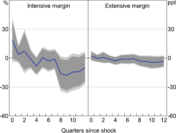 Figure C6: Investment Response to 100 Basis Point Monetary Policy Shock