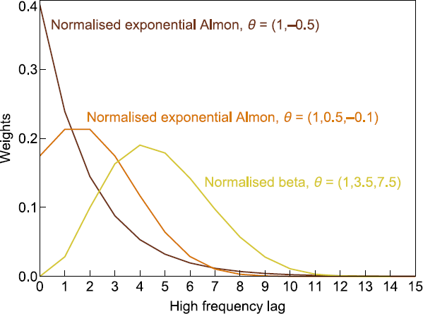 Figure B1 shows a single panel chart with three lines. Each line shows the weight values based on different functional forms. One line declines exponentially, while the other two lines show hump shapes. It highlights how parsimonious the MIDAS model can be.